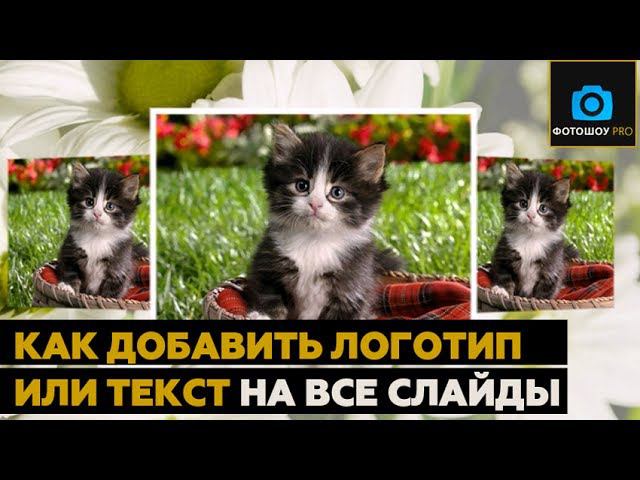 Как добавить логотип или текст на все слайды смотреть онлайн