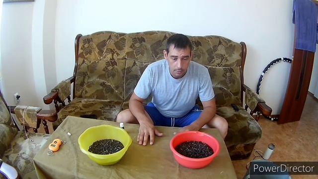 Прикормка на карпа смотреть онлайн