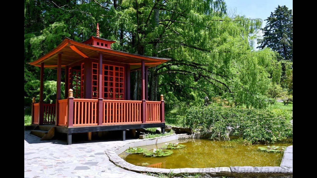 Гуляем по сочинскому дендрарию – самое красивое место в Сочи смотреть онлайн