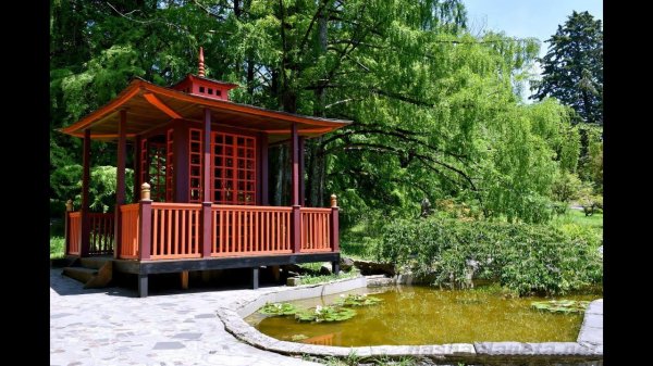 Гуляем по сочинскому дендрарию – самое красивое место в Сочи