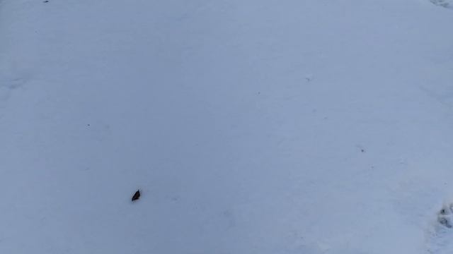 10 ВЕЩЕЙ, КОТОРЫЕ НУЖНО СДЕЛАТЬ ДО НОВОГО ГОДА ?У НАС ЕЩЁ ЕСТЬ ВРЕМЯ ⏰ смотреть онлайн