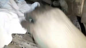 Замена ремня ГРМ FORD FOCUS II 1,4 DURATEC