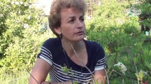 Как определить кислотность почвы с помощью рН метра. Сайт "Садовый мир"