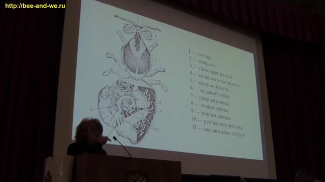 Международная научно-практическая конференция «Пчела и человек», 11-12 марта 2019г. г. Москва. смотреть онлайн