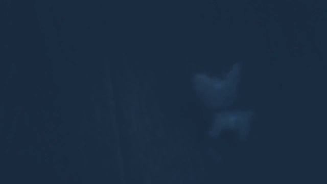 Мини фильм для ( Машуни Луни LPS😍 ) 💕👍👍👍 смотреть онлайн