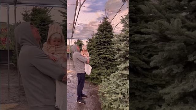 США Сколько стоят елки в Америке #shorts смотреть онлайн