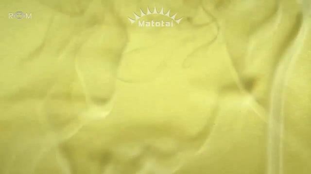 Человек родился | Духовное развитие