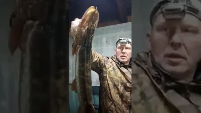 Шикарная щучка смотреть онлайн