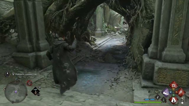 Птица в руках - прохождение квеста Hogwarts Legacy