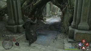 Птица в руках - прохождение квеста Hogwarts Legacy