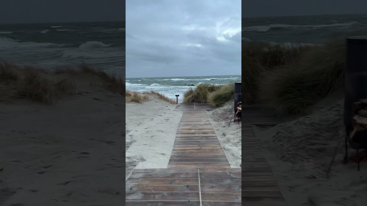 Балтика / Янтарный / 25.12.2023 смотреть онлайн