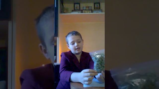 Тысячелистник (целебные травы) смотреть онлайн