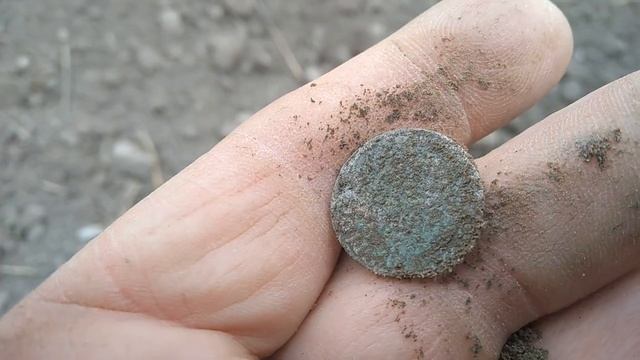 И СНОВА СИГИЗМУНД 3. КОП В КАЛИНИНГРАДСКОЙ ОБЛАСТИ|Metal detecting смотреть онлайн