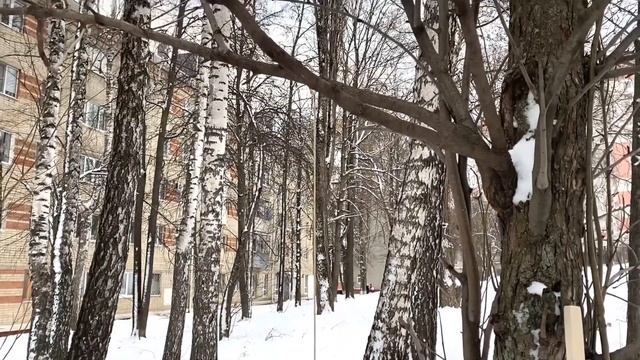 Метла из берёзовых веток. смотреть онлайн