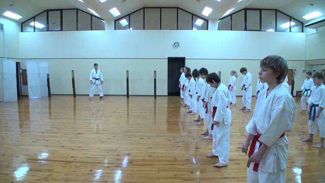 Семинар по программе 5-3 кю ката Архат До 8.12.12 ч.1 смотреть онлайн