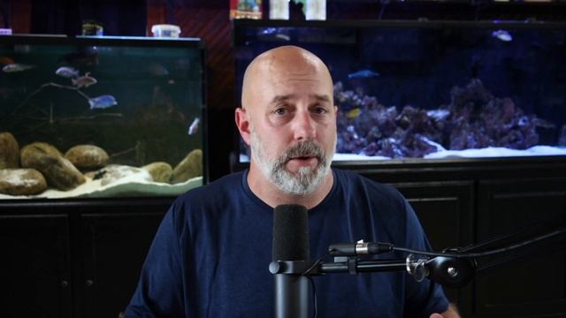 My Way Or The Highway Aquarium Snobs? Tank Talk Podcast Episode 9 смотреть онлайн