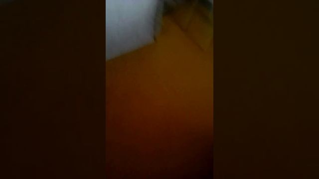 6 марта 2017 г. смотреть онлайн