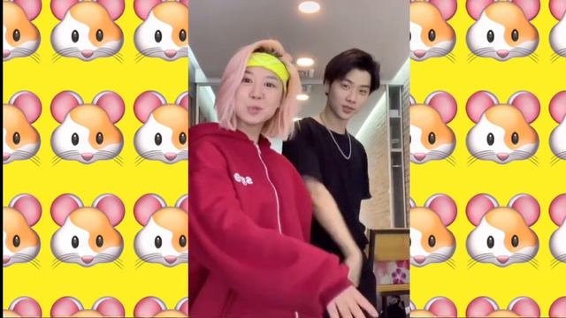 🐹ТАНЦУЙ ЕСЛИ ЗНАЕШЬ ЭТОТ ТРЕНД С ХОМОЙ🐹 смотреть онлайн