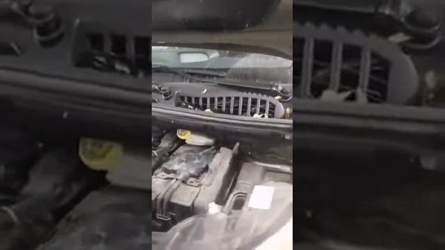 Технообзоры будущего: глазами науки