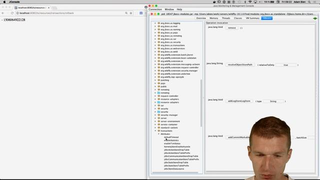 Transactions Monitoring With WildFly смотреть онлайн