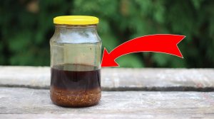 ПРОПОЛИС ЛЕЧЕНИЕ И ПРИМЕНЕНИЕ! настойка ПРОПОЛИСА на СПИРТУ и её польза!