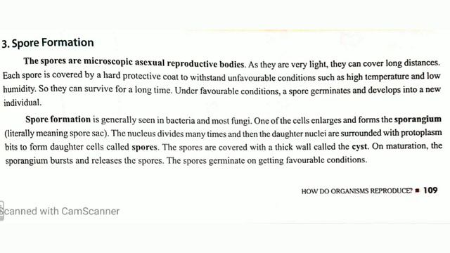 Budding, Spore formation and fragmentation# class X # Biology chapter 3# Cbse смотреть онлайн
