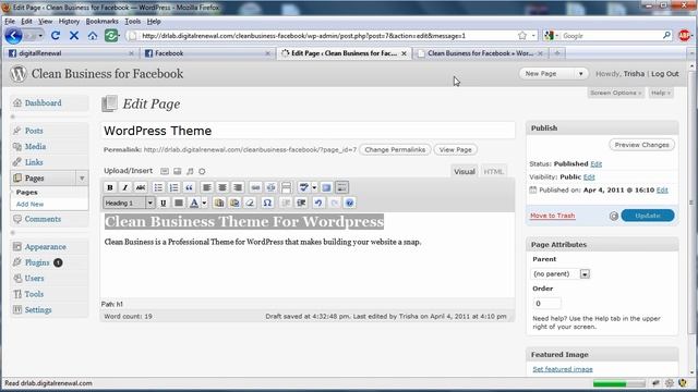 1 of 3 WordPress as Facebook Fanpage - Clean WordPress Theme смотреть онлайн