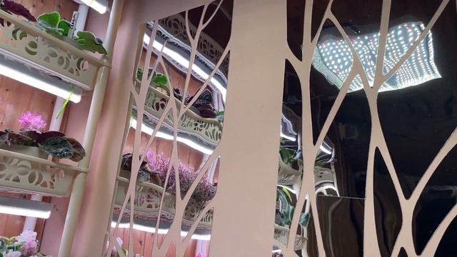 ГОТОВИМ МЕСТО ДЛЯ ЗИМНЕГО САДА ОГОРОДА смотреть онлайн