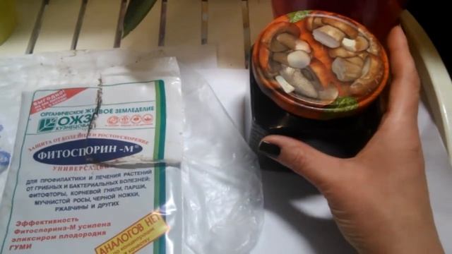 Как развести "Фитоспорин-м"(паста) смотреть онлайн