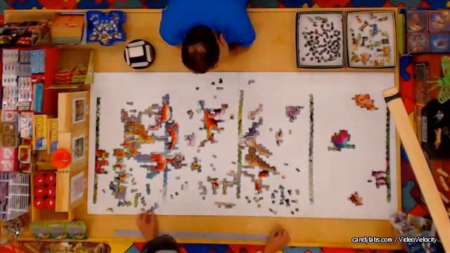 Day 534 November 17, 2015 – “Wildlife” 33600 pc World’s Largest Jigsaw Puzzle смотреть онлайн