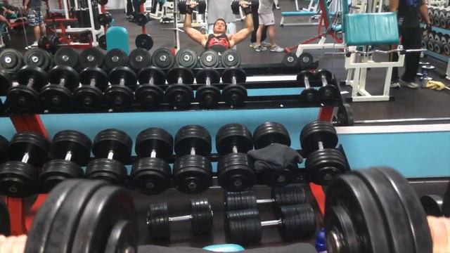 Massives Brusttraining 4er Split - Inspiration Karl Ess смотреть онлайн