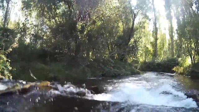 SUP-river río DURATÓN (22.07.2017) смотреть онлайн