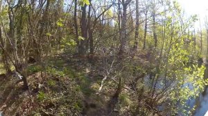 Первый коп с Garrett ACE 150. Исчезнувшая деревня