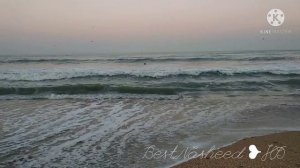 ЛУЧШИЕ НАШИД