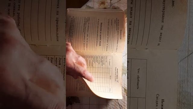 Дневник наблюдений над природой и трудовой деятельностью человека смотреть онлайн