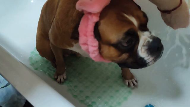 ВЕСЕЛА БАНЯ, І ПОКУПАЛИСЬ І ПОПРИБИРАЛИСЬ, СМАЧНО ПОВЕЧЕРЯЛИ смотреть онлайн