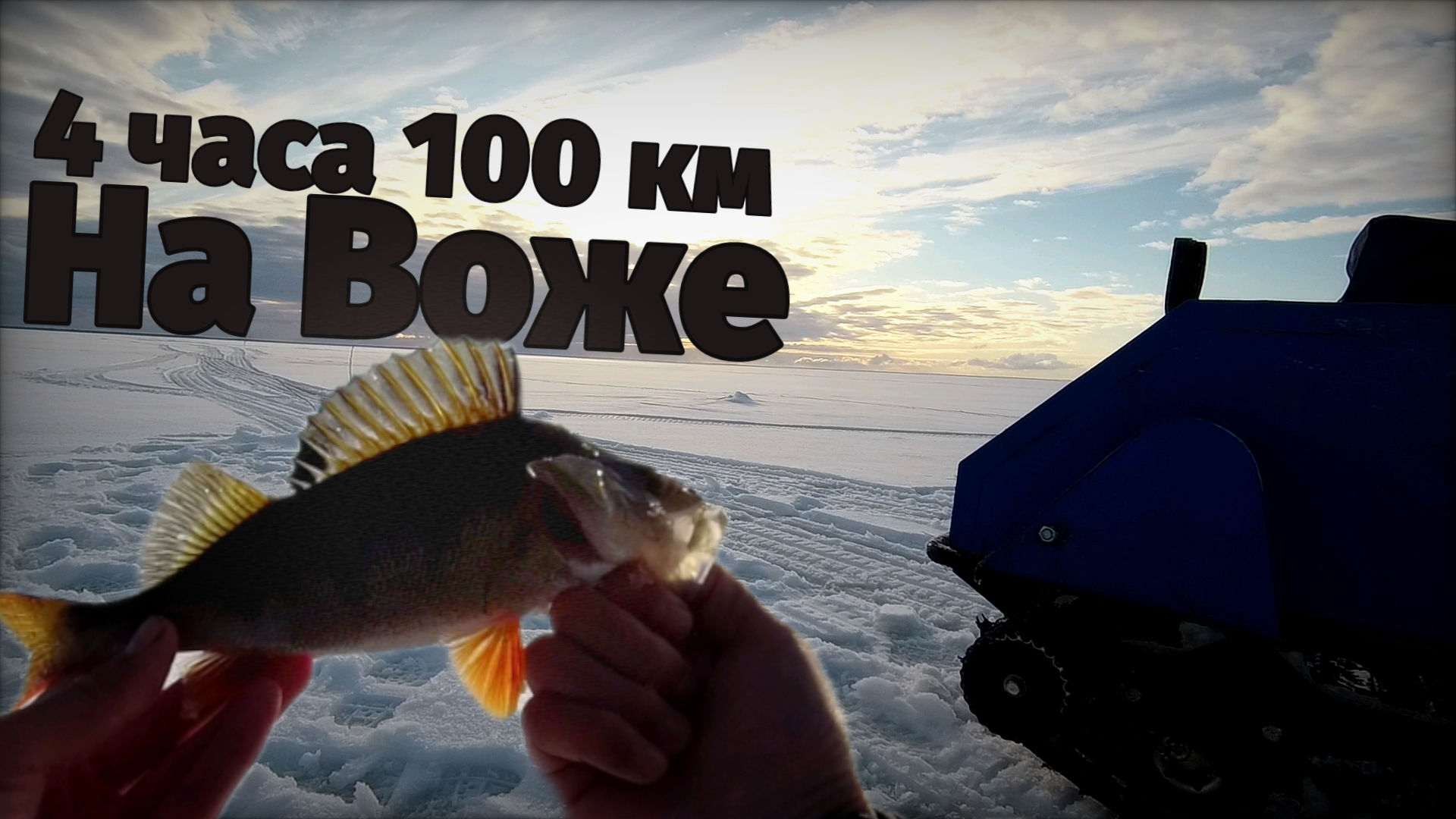 Моя первая зимняя рыбалка на оз Воже.Ставим жерлицы и ловим окуня смотреть онлайн