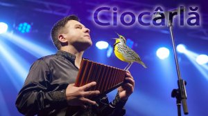 "Ciocârlă" | "Жаворонок" Константин Арвинте | Вячеслав Змеу - флейта пана