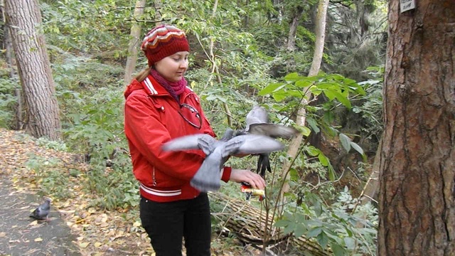 DSCF5510 смотреть онлайн