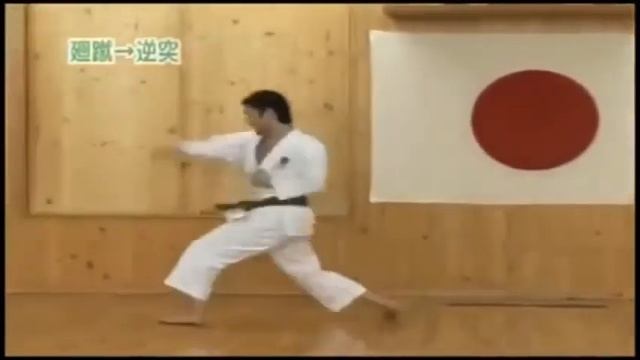 Avance fudo dachi mawashi geri gyaku tsuki смотреть онлайн