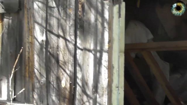 #3 Сельская поворотка | Домики профессоров | Что нашли ? | Радиосталк смотреть онлайн