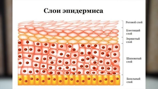 Что такое тейпирование и как оно работает? смотреть онлайн