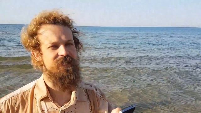 Анапа. Погода 12.09.2017 ДЕЛЬФИНЫ стихи море смотреть онлайн