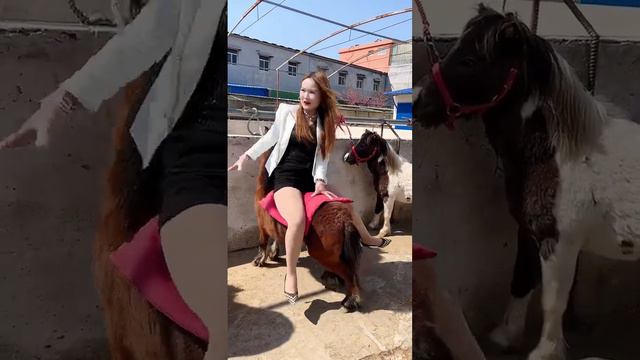 Pony riding fail смотреть онлайн
