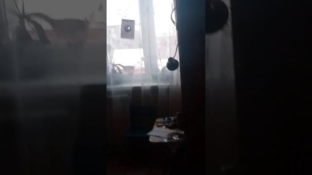 Моё первое видео с моим другом смотреть онлайн