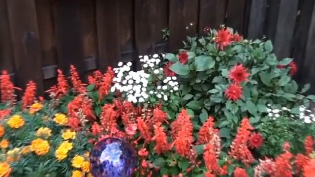 мой дворик. смотреть онлайн