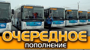 В Омске обновляется парк пассажирского автотранспорта
