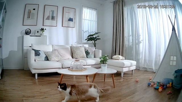 Dahua Imou Ranger 2 Wifi Indoor Dome Camera смотреть онлайн