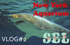 VLOG Нью Йорк Аквариум Смотрим рыбок, акул и морских львов New York Aquarium