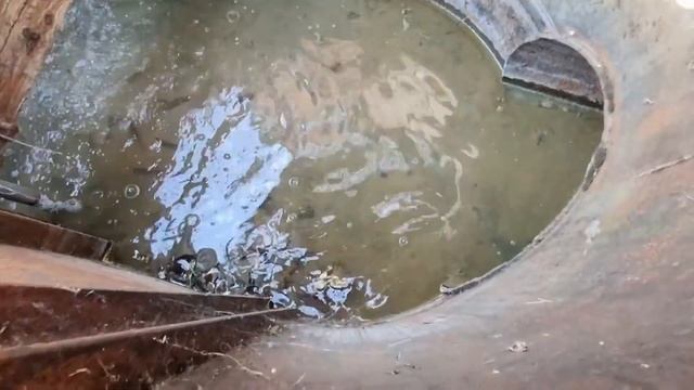 ЖАРА. Открываю купальный сезон в Барнауле! Кемпинг-парк Природа и человек или озеро Дружба! смотреть онлайн